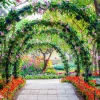 Discount Bloemenbogen in een parkje fotobehang Bloemen | 3d