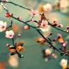 Clearance Bloesem in Volle Bloei met Groene Achtergrond fotobehang Bloemen
