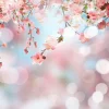 Online Bloesem met wazige achtergrond fotobehang Bloemen