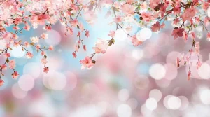 Online Bloesem met wazige achtergrond fotobehang Bloemen