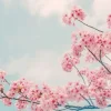 Online Bloesem met wolken op achtergrond fotobehang Bloemen