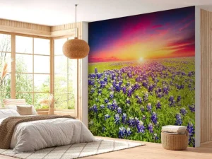 Best Bluebonnets met mooie Zonsondergang fotobehang Bloemen