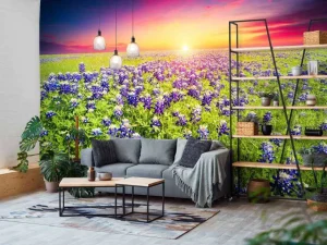 Best Bluebonnets met mooie Zonsondergang fotobehang Bloemen