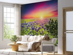 Best Bluebonnets met mooie Zonsondergang fotobehang Bloemen