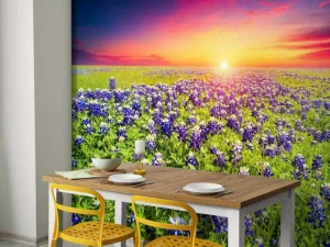 Best Bluebonnets met mooie Zonsondergang fotobehang Bloemen