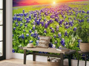 Best Bluebonnets met mooie Zonsondergang fotobehang Bloemen