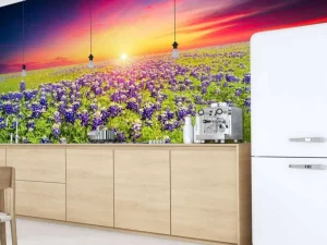 Best Bluebonnets met mooie Zonsondergang fotobehang Bloemen