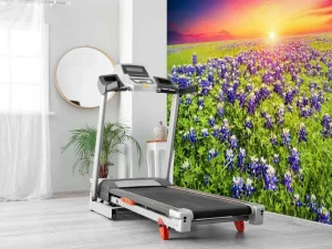 Best Bluebonnets met mooie Zonsondergang fotobehang Bloemen