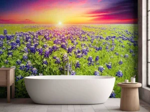 Best Bluebonnets met mooie Zonsondergang fotobehang Bloemen