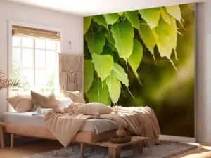 New Bodhi bladeren in de zon fotobehang Bloemen