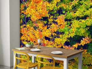 Best Boom tijdens Herfst fotobehang Bloemen