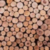 Online Boomstammen stapel fotobehang Hobbykamer | Gang
