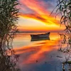 Sale Boot met riet in de avond fotobehang Bloemen