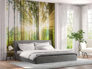 Sale Bos met felle zon op de achtergrond fotobehang Bloemen