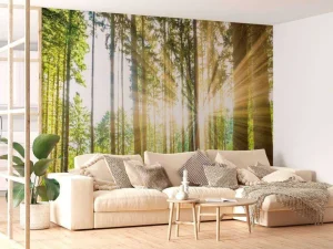 Sale Bos met felle zon op de achtergrond fotobehang Bloemen
