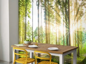 Sale Bos met felle zon op de achtergrond fotobehang Bloemen
