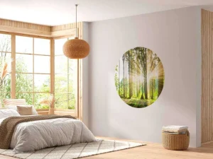 Sale Bos met felle zon op de achtergrond fotobehang Bloemen