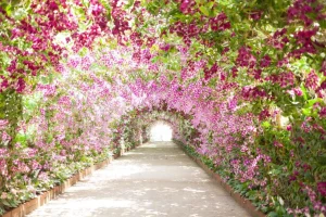 Discount Botanische tuin met orchideeën fotobehang Tienerkamer | 3d