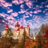 Hot Bran Castle in Roemenië fotobehang Bloemen | Architectuur