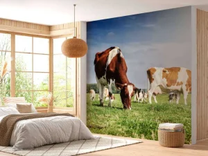 Hot Bruin Witte Koeien aan het grazen in de weide fotobehang Dieren