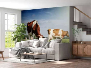 Hot Bruin Witte Koeien aan het grazen in de weide fotobehang Dieren