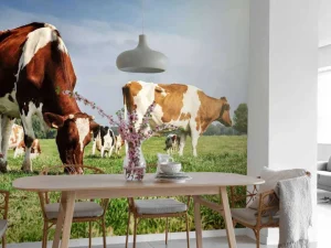 Hot Bruin Witte Koeien aan het grazen in de weide fotobehang Dieren