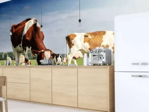 Hot Bruin Witte Koeien aan het grazen in de weide fotobehang Dieren