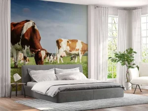 Hot Bruin Witte Koeien aan het grazen in de weide fotobehang Dieren