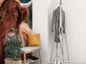 New Bruine Hooglander van dichtbij fotobehang Keuken | Dieren