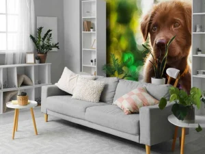 Outlet Bruine labrador met een wazige achtergrond fotobehang Dieren