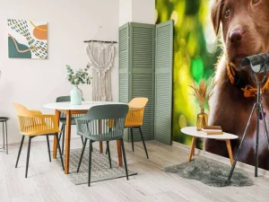 Outlet Bruine labrador met een wazige achtergrond fotobehang Dieren