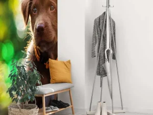 Outlet Bruine labrador met een wazige achtergrond fotobehang Dieren