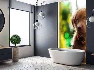 Outlet Bruine labrador met een wazige achtergrond fotobehang Dieren