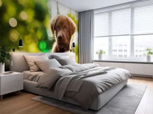 Outlet Bruine labrador met een wazige achtergrond fotobehang Dieren