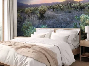 Hot Cactusveld bij zonsondergang fotobehang Bloemen