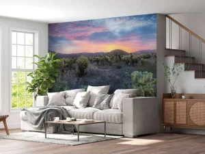 Hot Cactusveld bij zonsondergang fotobehang Bloemen