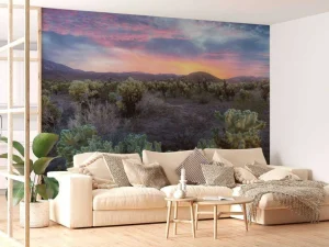 Hot Cactusveld bij zonsondergang fotobehang Bloemen