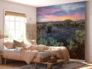 Hot Cactusveld bij zonsondergang fotobehang Bloemen