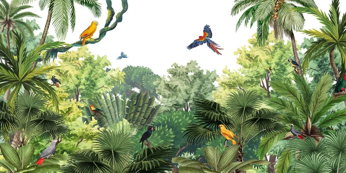 canopy_jungle_0.webp Hot Canopy Jungle Kinderkamer