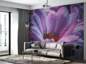 Fashion Chrysant bloem met dynamische kleuren fotobehang Tienerkamer | Hobbykamer