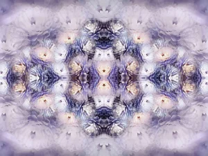 Best Chrysanten design fotobehang Tienerkamer | Bloemen