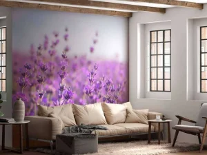New Close-Up van Lavendel fotobehang Bloemen