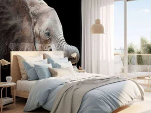 Best Close-up van olifant met een zwarte achtergrond fotobehang Gang