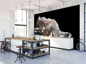 Best Close-up van olifant met een zwarte achtergrond fotobehang Gang