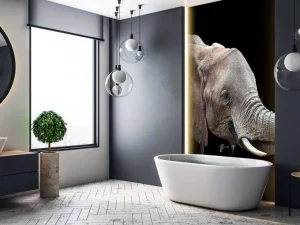 Best Close-up van olifant met een zwarte achtergrond fotobehang Gang