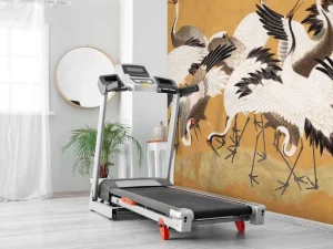 Fashion Crane Birds Dieren