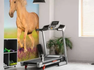 Discount Cremello Paard in weide fotobehang Tienerkamer | Kinderkamer