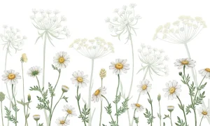 New Dazzling Daisies - White Kinderkamer | Bloemen