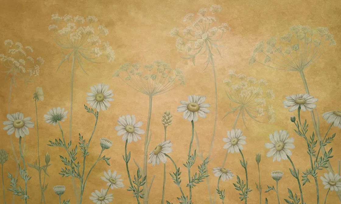 dazzling_daisies__yellow_0.webp New Dazzling Daisies - Yellow Bloemen