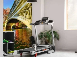 Hot De Bow Bridge in Central Park fotobehang Architectuur